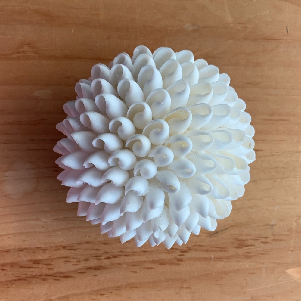 Decorative shell balls - Picture 2 of 3